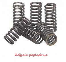 Sprężyny sprzęgłowe EBC (5 szt. w zestawie) CSK068