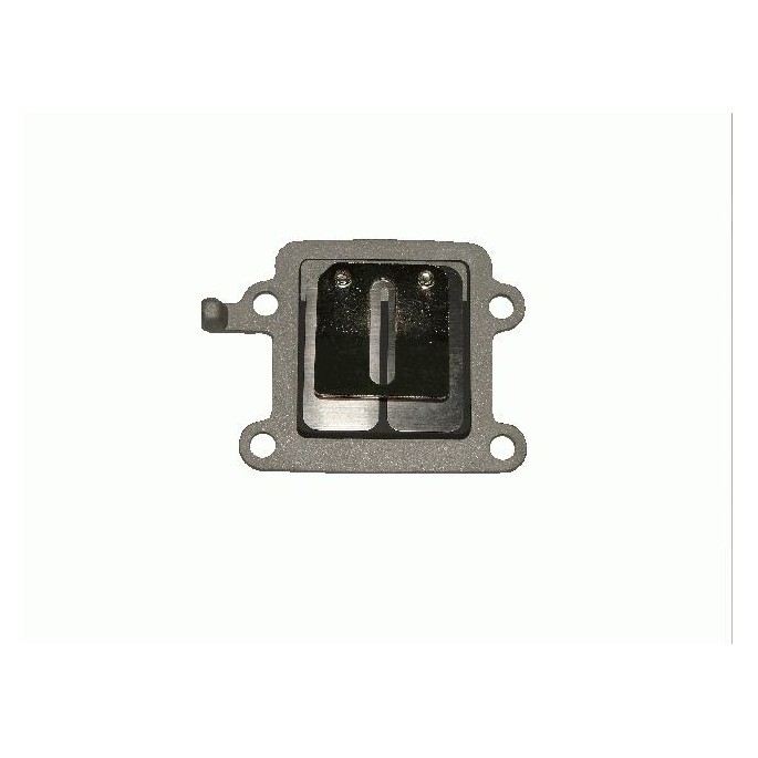 ZAWÓR MEMBRANOWY PŁYTKOWY POWER FORCE MINARELLI VERTICAL (BWS, MBK) 2JA  MMT284728