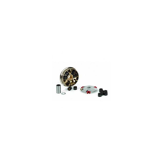 WARIATOR MV1 PIAGGIO BEVERLY 250 