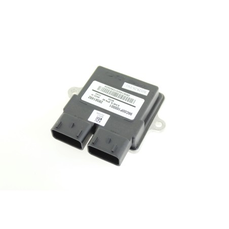 STEROWNIK (ECU) 96C00P100B01